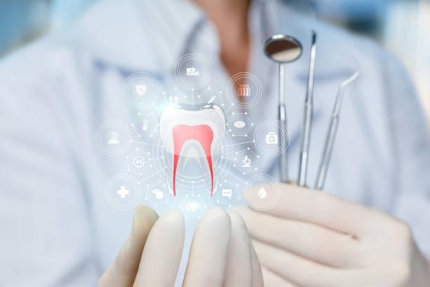 Best Root Canal Treatment  in Jerseyvle, IL